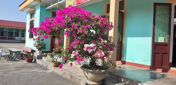 Anh 8-3 (6).jpg
