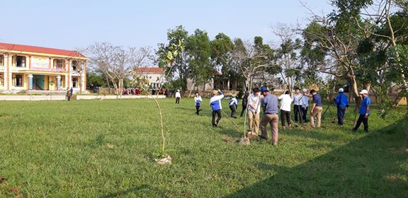 Tet trong cay 10.jpg