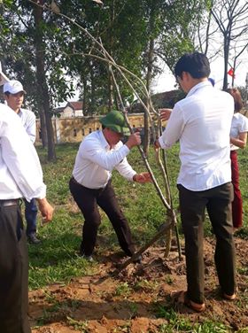 Tet trong cay 3.jpg