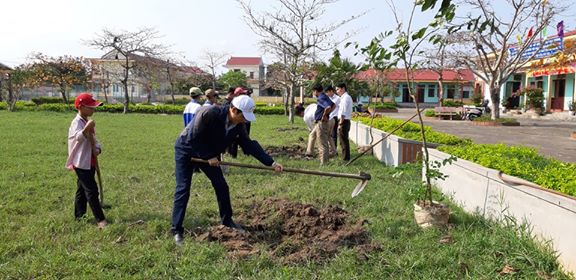 Tet trong cay 7.jpg